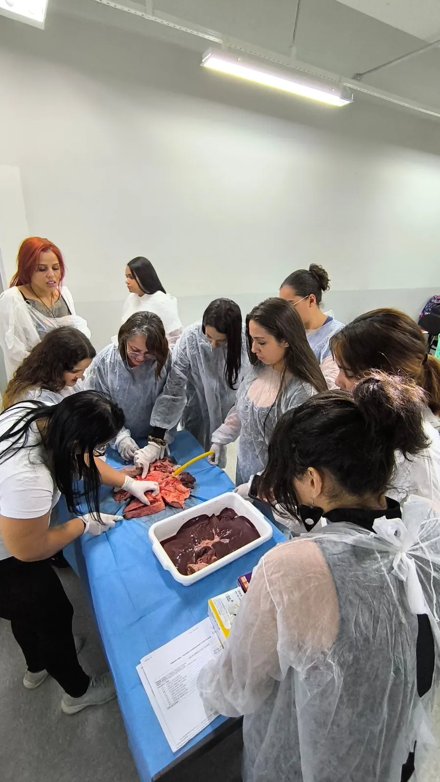 Alunos em aula prática de anatomia
