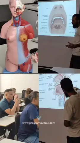 Aula de anatomia com modelo do corpo humano e projeção