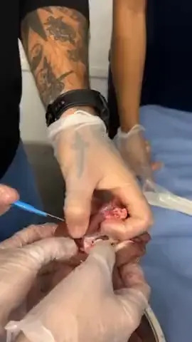 Aula prática de anatomia com órgão